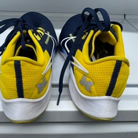 NEW!! "U OF M", Nike Air Zoom Pegasus 3,College, Team Spirit, Univercity, SZ 7.5 - Picture 2 of 16